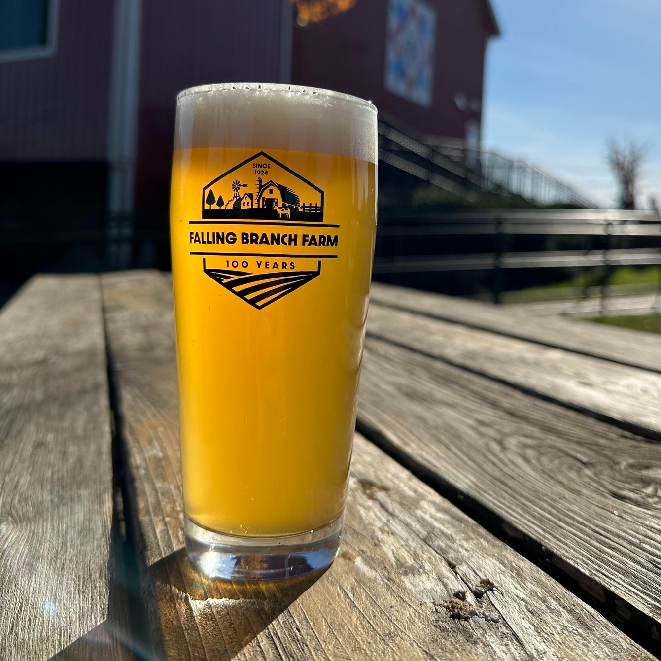 a glass of beer on an outside table