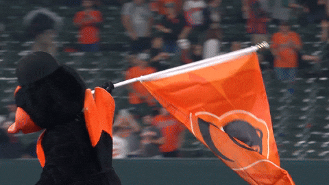 the orioles bird running with the flag